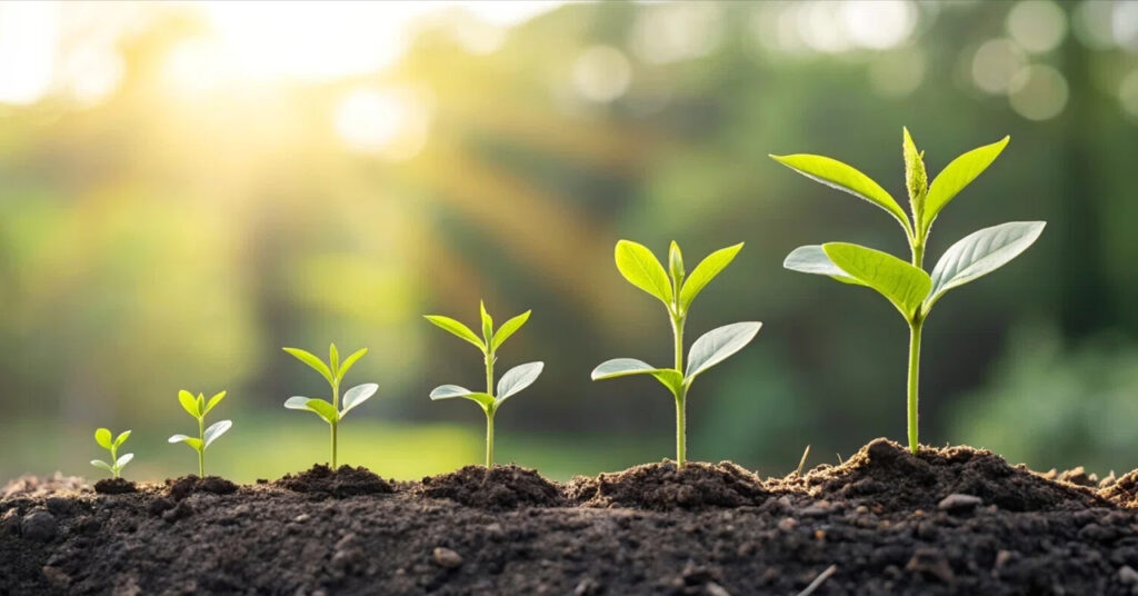 成長が止まったデザイン中級者へ。次ステージへ進む、「正しい順番」とは。